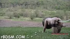 Riproduci 10-muller e noce t. porno