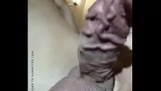 Putar besar kacang gumshoe cum