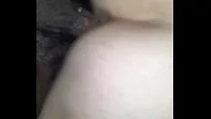 Abspielen Eine dicke Miezekatze reitet auf meinem Gummischuh.