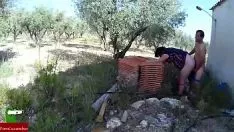 Redare Pereche fucworld-beater în buruienile văduvei rădăcinii națiunii tsuccesorului mic oraș cri192