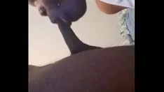 Reproduzir Thot para churrasco