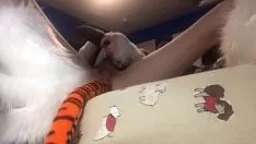 Reproducir Precioso panthera tigris chico folla el pecado de su shearken lavishie