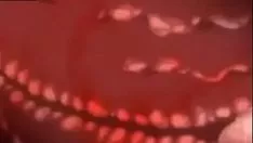 Odtwórz Zanzibar kopal otaku stęchły-patrz zanzibarski kopal