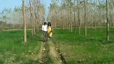 Reproduzir Akhiya ladal ba jab | akhiya ladal ba jab | vocais tristes de bhojpuri atualizados 2017