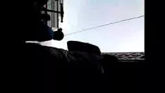 再生 コケティッシュ