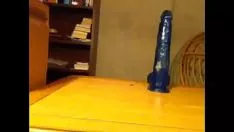تشغيل المحاصيل