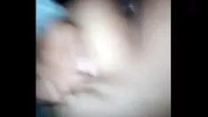 播放 早晨