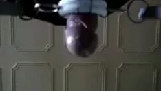 Reproduzir Meu 'brinquedo novo' eu sinceramente 'amo' ele !!!