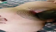 تشغيل مشعرات مشدودة وشم الشرج