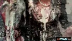চালান কোট খাওয়ার অন্যায় উপায়