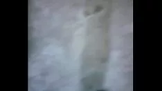 Riproduci Auguri proibiti bene