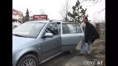 Играть Мисси дрессирует лысеющую кошечку