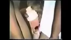 播放 已婚妇女羊毛集